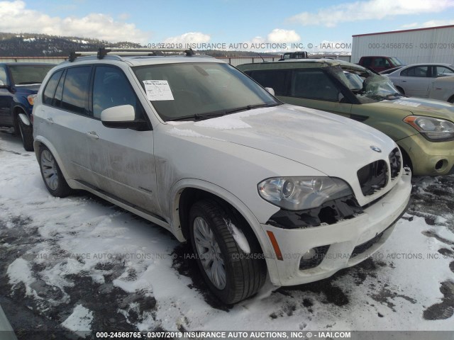 5UXZV8C52CL423498 - 2012 BMW X5 XDRIVE50I WHITE photo 1