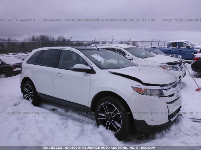 2FMDK4JCXDBC90291 - 2013 FORD EDGE SEL WHITE photo 1