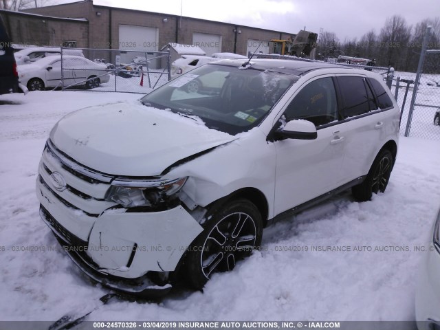 2FMDK4JCXDBC90291 - 2013 FORD EDGE SEL WHITE photo 2