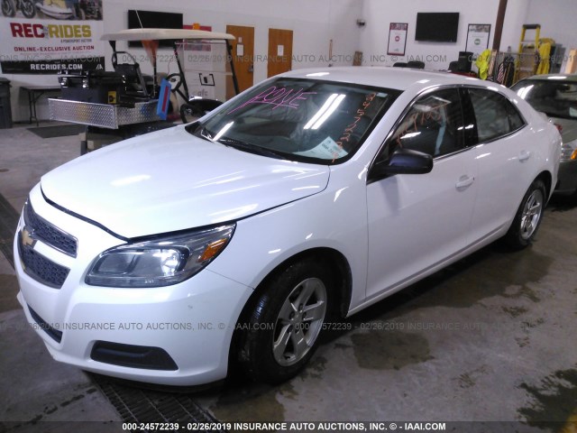 1G11B5SA4DF319284 - 2013 CHEVROLET MALIBU LS თეთრი ფოტო 2