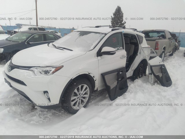 2T3DFREV2HW594249 - 2017 TOYOTA RAV4 LIMITED/SE/PLATINUM WHITE photo 2