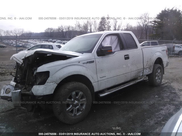 1FTFX1ET4DFA51678 - 2013 FORD F150 SUPER CAB WHITE photo 2