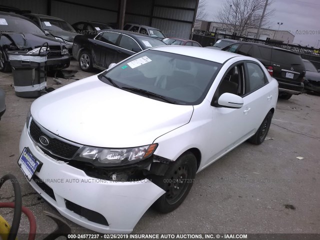 KNAFU4A25C5633507 - 2012 KIA FORTE EX WHITE photo 2