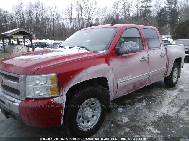 3GCPKREA3BG371084 - 2011 CHEVROLET SILVERADO K1500 LS RED photo 2