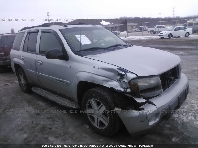 1GNDT13S652104233 - 2005 CHEVROLET TRAILBLAZER LS/LT SILVER photo 1