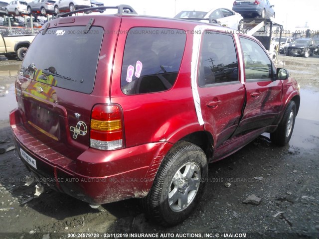 1FMYU94176KD46831 - 2006 FORD ESCAPE LIMITED MAROON photo 4