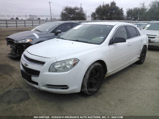 1G1ZG57B494106117 - 2009 CHEVROLET MALIBU LS WHITE photo 2