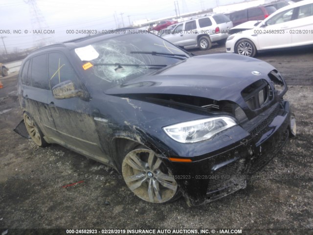 5YMGY0C52D0C11876 - 2013 BMW X5 M BLACK photo 1