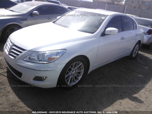 KMHGC4DE3BU138397 - 2011 HYUNDAI GENESIS 3.8L WHITE photo 2