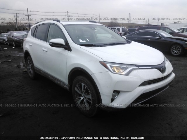 2T3RFREV3JW707704 - 2018 TOYOTA RAV4 ADVENTURE/XLE WHITE photo 1