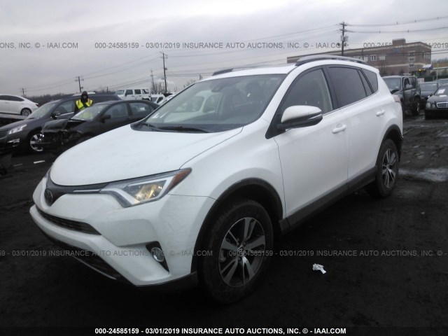 2T3RFREV3JW707704 - 2018 TOYOTA RAV4 ADVENTURE/XLE WHITE photo 2