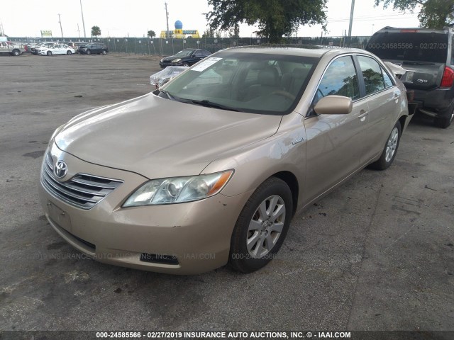 4T1BB46K88U061650 - 2008 TOYOTA CAMRY HYBRID GOLD photo 2