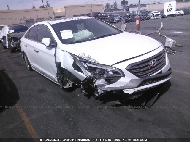 5NPE34AF6HH537672 - 2017 HYUNDAI SONATA SPORT/LIMITED WHITE photo 1