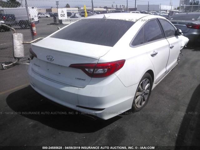 5NPE34AF6HH537672 - 2017 HYUNDAI SONATA SPORT/LIMITED WHITE photo 4