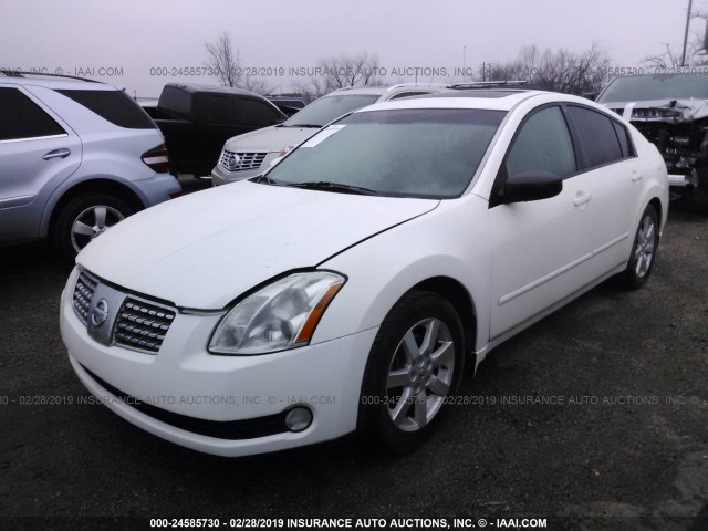 1N4BA41E84C923067 - 2004 NISSAN MAXIMA SE/SL WHITE photo 2