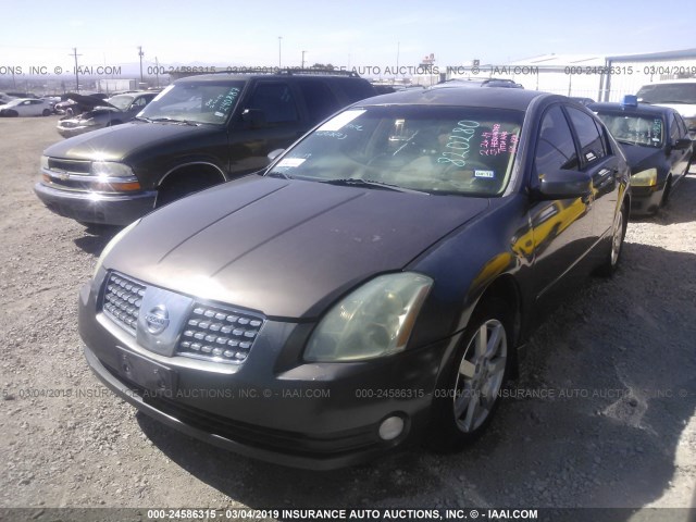 1N4BA41E46C820280 - 2006 NISSAN MAXIMA SE/SL GRAY photo 2