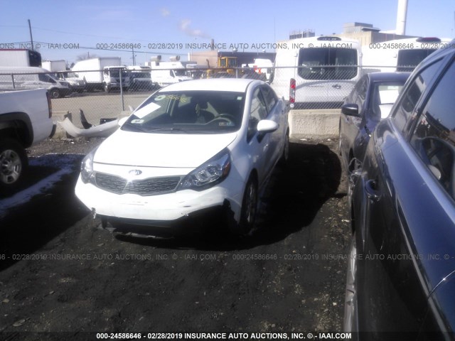 KNADM4A31E6408899 - 2014 KIA RIO LX WHITE photo 2