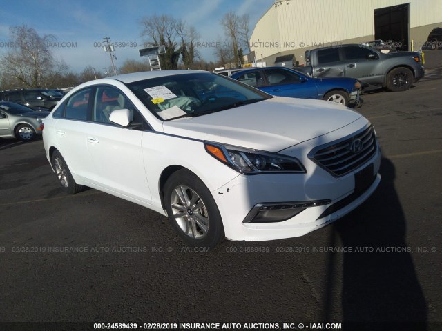 5NPE24AF3FH176191 - 2015 HYUNDAI SONATA SE Ağ foto 1