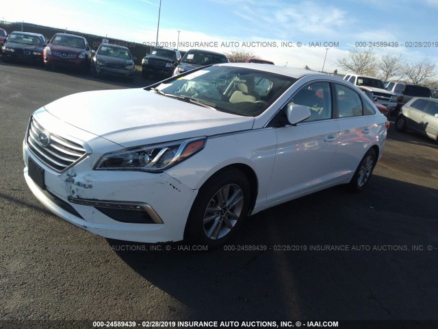 5NPE24AF3FH176191 - 2015 HYUNDAI SONATA SE Ağ foto 2