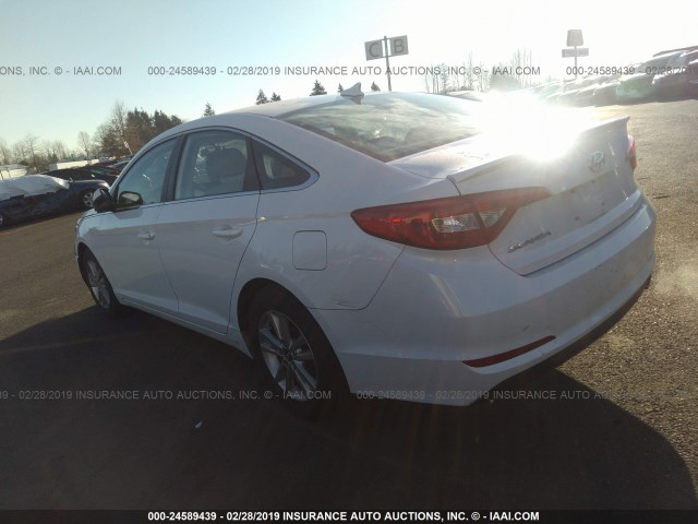 5NPE24AF3FH176191 - 2015 HYUNDAI SONATA SE Ağ foto 3
