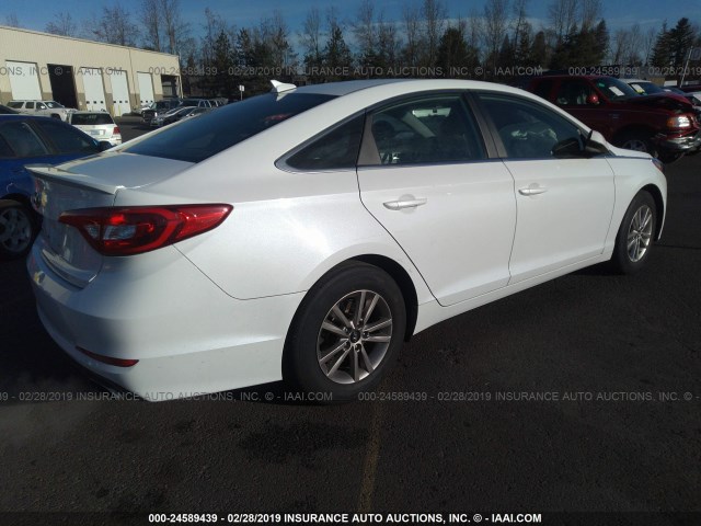 5NPE24AF3FH176191 - 2015 HYUNDAI SONATA SE Ağ foto 4