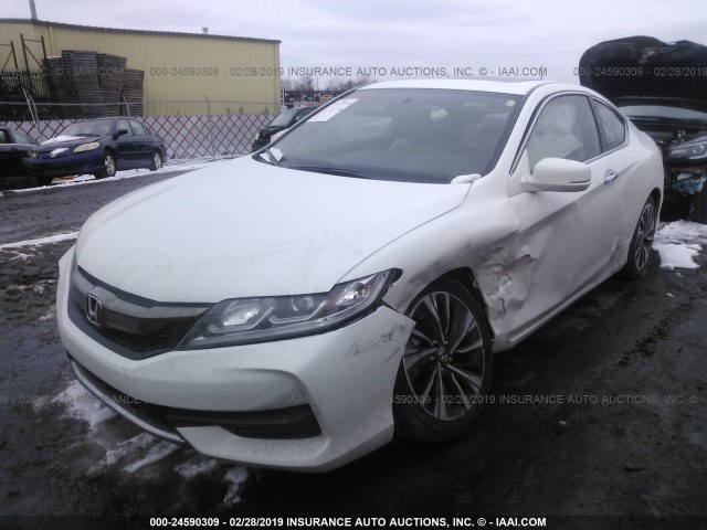 1HGCT1B73GA002030 - 2016 HONDA ACCORD EX WHITE photo 2