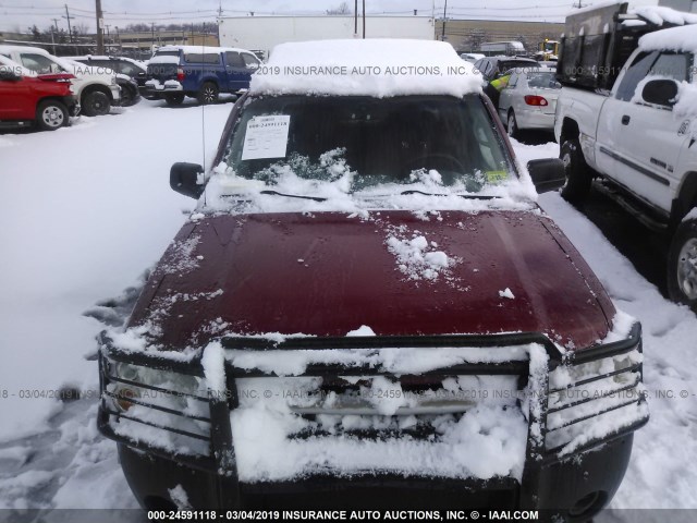 1N6ED29Y14C483532 - 2004 NISSAN FRONTIER CREW CAB XE V6 RED photo 6