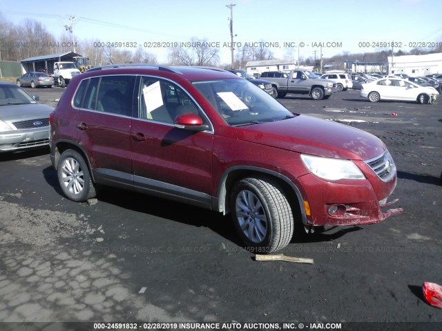 WVGBV75N09W000139 - 2009 VOLKSWAGEN TIGUAN SE/SEL RED photo 1