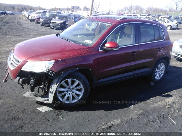 WVGBV75N09W000139 - 2009 VOLKSWAGEN TIGUAN SE/SEL RED photo 2