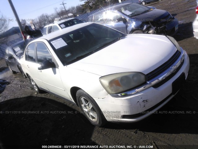 1G1ZT54825F143265 - 2005 CHEVROLET MALIBU LS WHITE photo 1