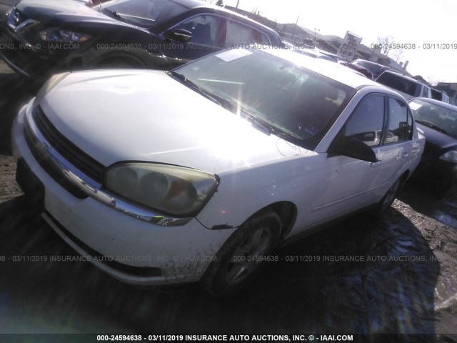 1G1ZT54825F143265 - 2005 CHEVROLET MALIBU LS WHITE photo 2