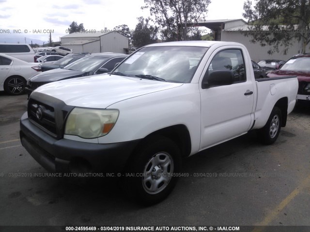 5TENX22NX8Z503066 - 2008 TOYOTA TACOMA WHITE photo 2