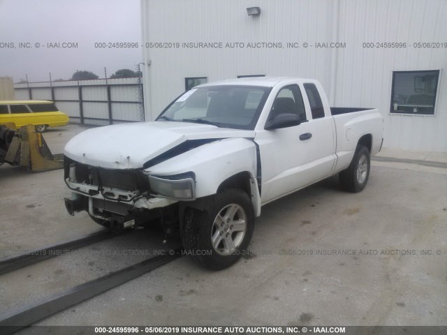 1D7CE3BK0AS244547 - 2010 DODGE DAKOTA SXT WHITE photo 2