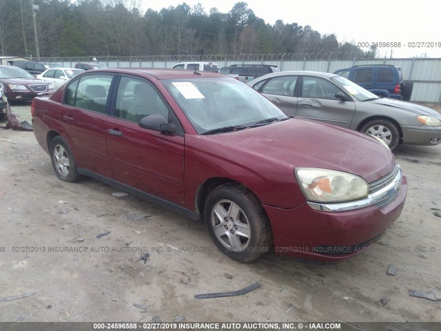 1G1ZT54835F221262 - 2005 CHEVROLET MALIBU LS BURGUNDY photo 1