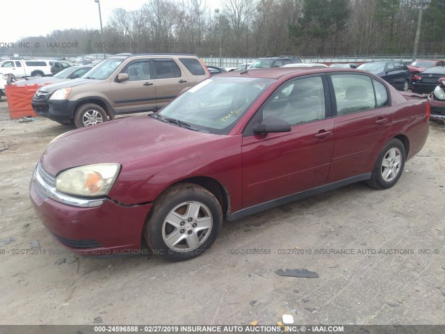 1G1ZT54835F221262 - 2005 CHEVROLET MALIBU LS BURGUNDY photo 2