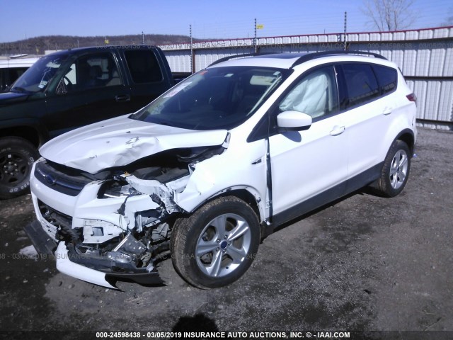 1FMCU9G91EUD67494 - 2014 FORD ESCAPE SE WHITE photo 2