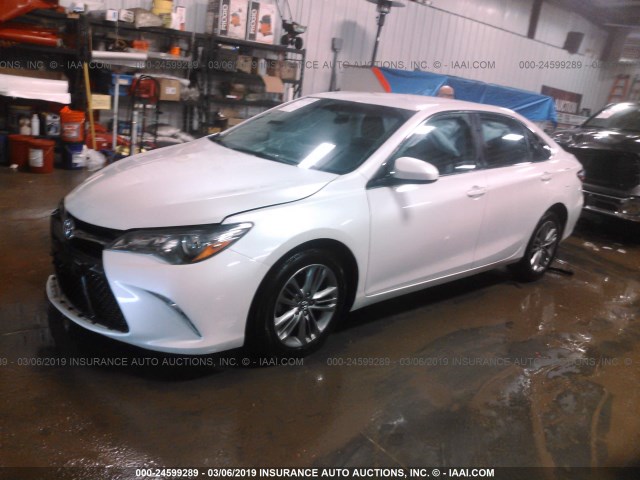 4T1BF1FK0GU171691 - 2016 TOYOTA CAMRY LE/XLE/SE/XSE WHITE photo 2