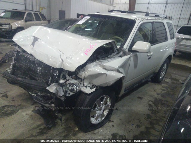 1FMCU9EG9BKC55079 - 2011 FORD ESCAPE LIMITED WHITE photo 2