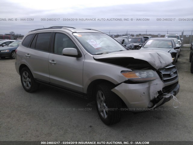 5NMSH13EX7H123670 - 2007 HYUNDAI SANTA FE SE/LIMITED GOLD photo 1