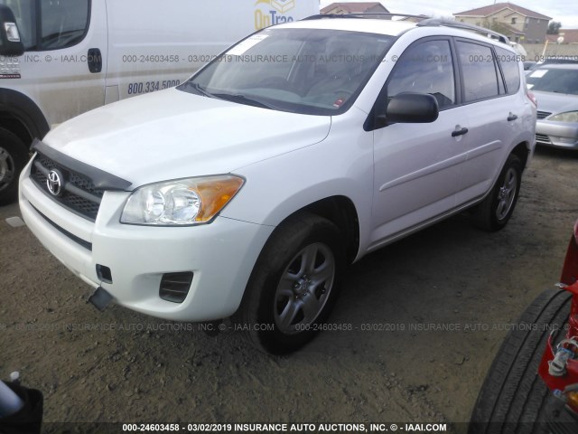 2T3ZF4DV6BW097013 - 2011 TOYOTA RAV4 WHITE photo 2