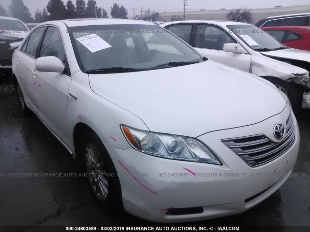 4T1BB46K47U020317 - 2007 TOYOTA CAMRY NEW GENERAT HYBRID WHITE photo 1