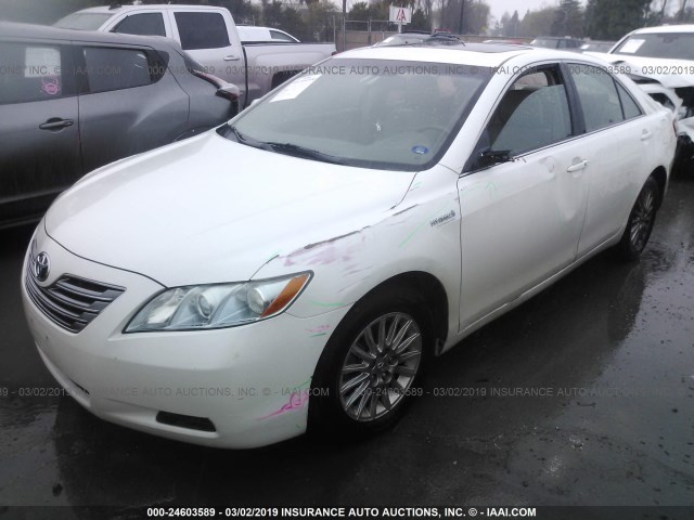 4T1BB46K47U020317 - 2007 TOYOTA CAMRY NEW GENERAT HYBRID WHITE photo 2