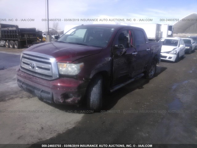 5TFHW5F10AX128150 - 2010 TOYOTA TUNDRA CREWMAX LIMITED BURGUNDY photo 2