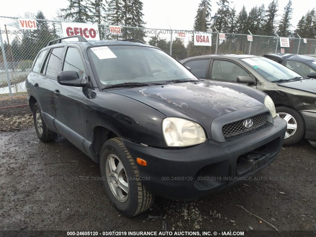 KM8SB12B93U539460 - 2003 HYUNDAI SANTA FE GL BLACK photo 1