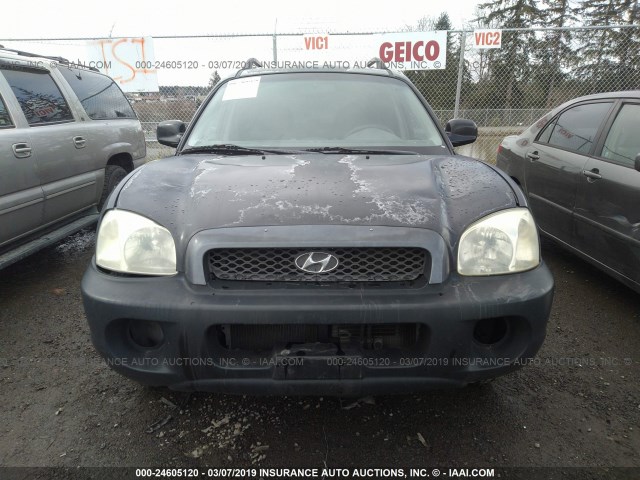 KM8SB12B93U539460 - 2003 HYUNDAI SANTA FE GL BLACK photo 6