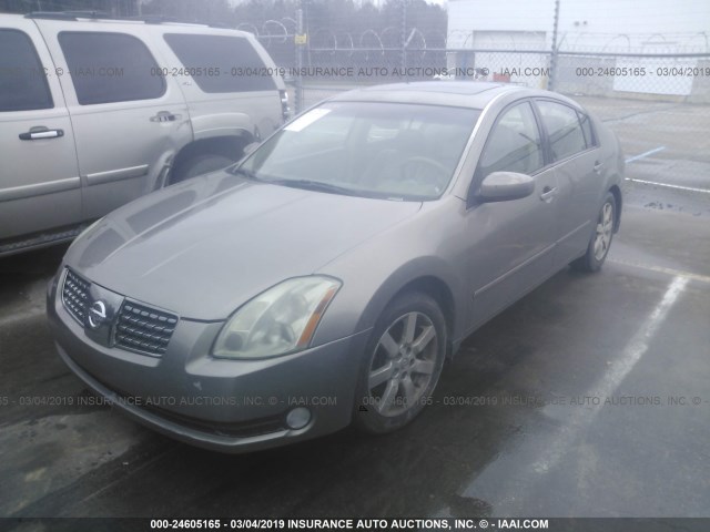 1N4BA41E04C890775 - 2004 NISSAN MAXIMA SE/SL Champagne photo 2