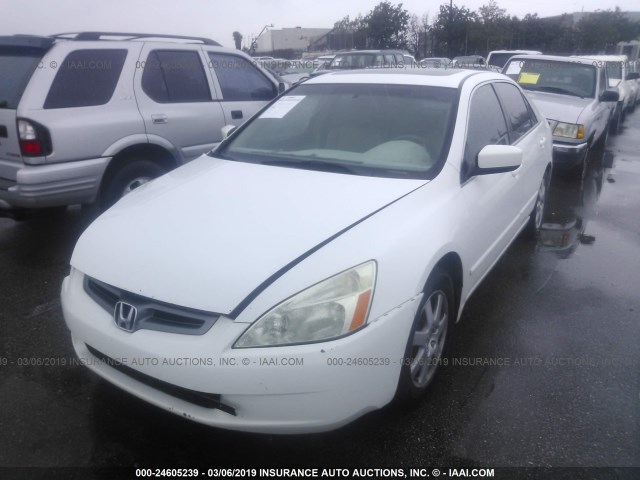 1HGCM66535A061790 - 2005 HONDA ACCORD EX WHITE photo 2