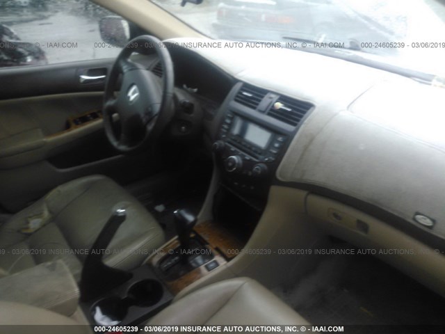 1HGCM66535A061790 - 2005 HONDA ACCORD EX WHITE photo 5