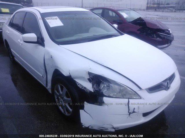 1HGCM66535A061790 - 2005 HONDA ACCORD EX WHITE photo 6