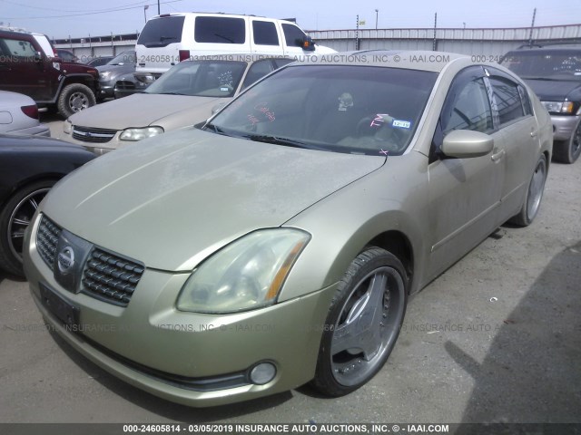 1N4BA41E24C890857 - 2004 NISSAN MAXIMA SE/SL GOLD photo 2